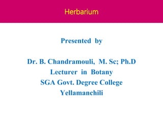 Herbarium
Presented by
Dr. B. Chandramouli, M. Sc; Ph.D
Lecturer in Botany
SGA Govt. Degree College
Yellamanchili
 