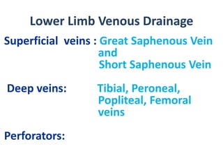 Lower Limb Venous Drainage
Superficial veins : Great Saphenous Vein
and
Short Saphenous Vein
Deep veins: Tibial, Peroneal,
Popliteal, Femoral
veins
Perforators:
 