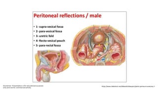 https://www.slideshare.net/AbbasALRobaiyee1/pelvis-perineum-anatomy-1
 