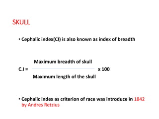 Cephalic Index 91 Example DETERMINATION OF RACE FROM HUMAN REMAINS.pptx Dr. Haricharan MD RIMS ...