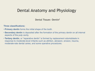 Three classifications:
• Primary dentin forms the initial shape of the tooth.
• Secondary dentin is deposited after the formation of the primary dentin on all internal
aspects of the pulp cavity.
• Tertiary dentin, or “reparative dentin” is formed by replacement odontoblasts in
response to moderate-level irritants such as attrition, abrasion, erosion, trauma,
moderate-rate dental caries, and some operative procedures.
Dental Tissues—Dentin2
Dental Anatomy and Physiology
 