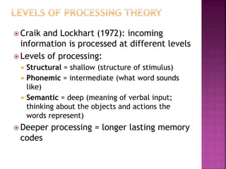  Craik and Lockhart (1972): incoming
information is processed at different levels
 Levels of processing:
 Structural = shallow (structure of stimulus)
 Phonemic = intermediate (what word sounds
like)
 Semantic = deep (meaning of verbal input;
thinking about the objects and actions the
words represent)
 Deeper processing = longer lasting memory
codes
 