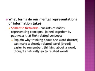  What forms do our mental representations
of information take?
 Semantic Networks—consists of nodes
representing concepts, joined together by
pathways that link related concepts
 Explain why thinking about one word (butter)
can make a closely related word (bread)
easier to remember; thinking about a word,
thoughts naturally go to related words
 