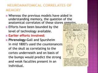  Whereas the previous models have aided in
understanding memory, the question of the
anatomical correlates of these stores remains.
 Efforts have been bounded by the
level of technology available.
 Earlier efforts involved:
 Phrenology-Gall and Spursheim
in mid 1800’s used the countenances
of the skull as correlating to the
cortex underneath and on basis of
the bumps would predict the strong
and weak faculties present in an
individual.
 