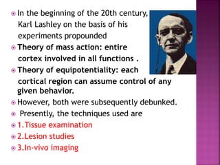  In the beginning of the 20th century,
Karl Lashley on the basis of his
experiments propounded
 Theory of mass action: entire
cortex involved in all functions .
 Theory of equipotentiality: each
cortical region can assume control of any
given behavior.
 However, both were subsequently debunked.
 Presently, the techniques used are
 1.Tissue examination
 2.Lesion studies
 3.In-vivo imaging
 