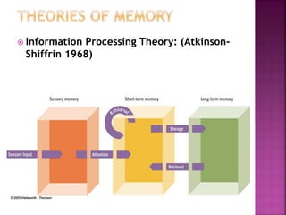  Information Processing Theory: (Atkinson-
Shiffrin 1968)
 
