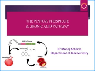 THE PENTOSE PHOSPHATE
& URONIC ACID PATHWAY
Dr Manoj Acharya
Department of Biochemistry
 