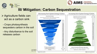 Leveraging Artificial Intelligence (AI) & Satellite Remote Sensing Data for Decision-making in the African
Agricultural Sector
III/ Mitigation: Carbon Sequestration
Ø Agriculture fields can
act as a carbon sink
- Crops photosynthesis
sequesters carbon in the soil
- Any disturbance to the soil
releases carbon
 