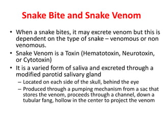Snake Bite and Snake Venom
• When a snake bites, it may excrete venom but this is
dependent on the type of snake – venomous or non
venomous.
• Snake Venom is a Toxin (Hematotoxin, Neurotoxin,
or Cytotoxin)
• It is a varied form of saliva and excreted through a
modified parotid salivary gland
– Located on each side of the skull, behind the eye
– Produced through a pumping mechanism from a sac that
stores the venom, proceeds through a channel, down a
tubular fang, hollow in the center to project the venom
 