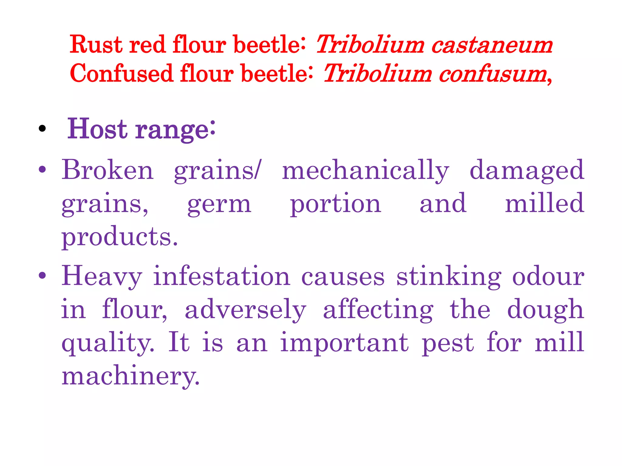 Dr.S.K Stored Product Insect Pests.pptx