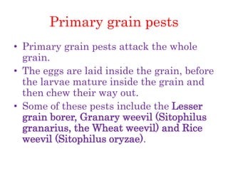 Dr.S.K Stored Product Insect Pests.pptx