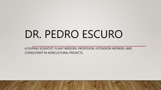 DR. PEDRO ESCURO
A FILIPINO SCIENTIST, PLANT BREEDER, PROFESSOR, EXTENSION WORKER, AND
CONSULTANT IN AGRICULTURAL PROJECTS.
 