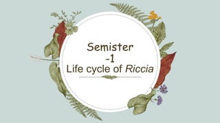 Life cycle of Riccia
Semister
-1
 