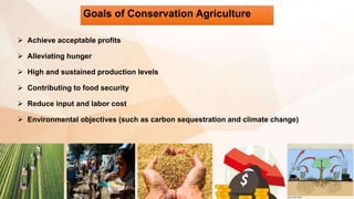 Goals of Conservation Agriculture
 Achieve acceptable profits
 Alleviating hunger
 High and sustained production levels
 Contributing to food security
 Reduce input and labor cost
 Environmental objectives (such as carbon sequestration and climate change)
 