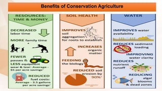 Benefits of Conservation Agriculture
 