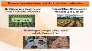 The role of no or minimum mechanical soil disturbance in CA system
No tillage or zero tillage: Residue
cover is maintained 100 per cent
Reduced tillage: Residue cover is
maintained up to 30 per cent
Mulch tillage: Covering of surface layer of
soil with different mulches.
 
