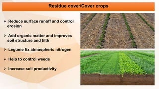 Residue cover/Cover crops
 Reduce surface runoff and control
erosion
 Add organic matter and improves
soil structure and tilth
 Legume fix atmospheric nitrogen
 Help to control weeds
 Increase soil productivity
 