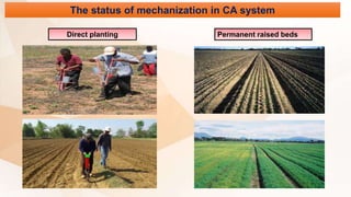 The status of mechanization in CA system
Direct planting Permanent raised beds
 