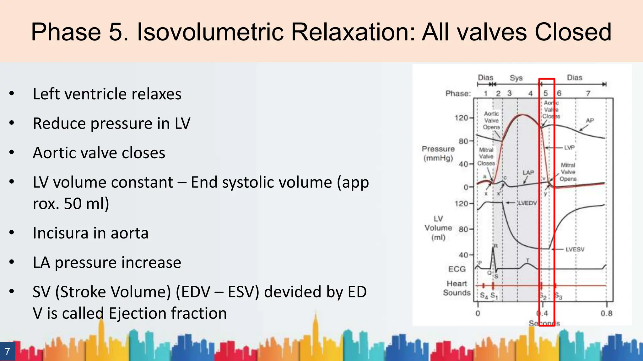 Isometric Volume Cardiac Cycle and Hemodinamic.pptx