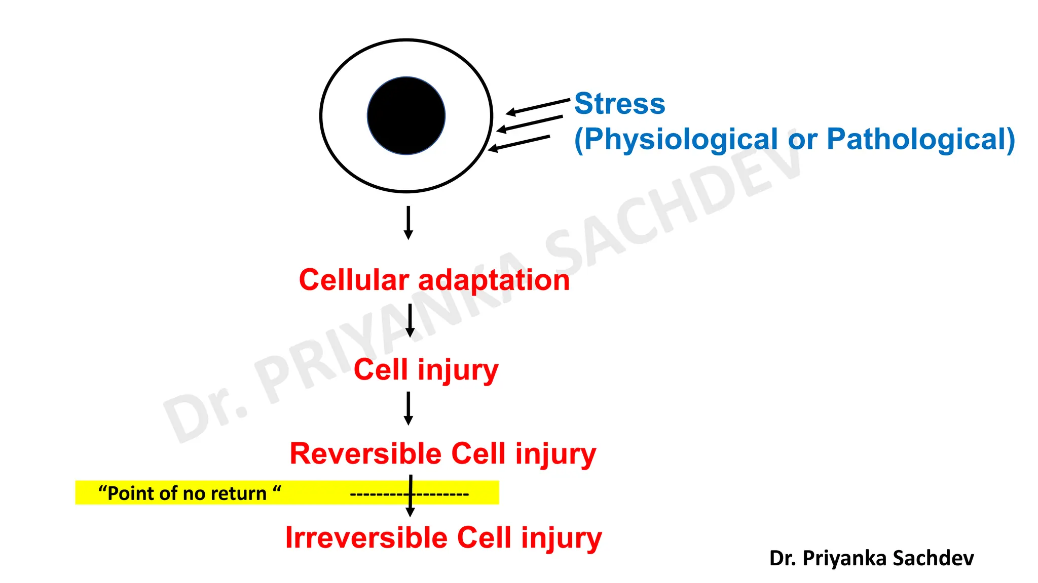 General Pathology Pdf General Pathology Pdf
