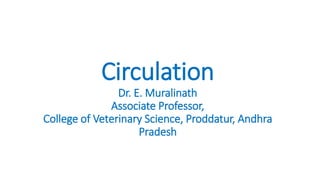 Circulation
Dr. E. Muralinath
Associate Professor,
College of Veterinary Science, Proddatur, Andhra
Pradesh
 