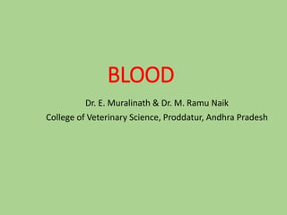 BLOOD
Dr. E. Muralinath & Dr. M. Ramu Naik
College of Veterinary Science, Proddatur, Andhra Pradesh
 