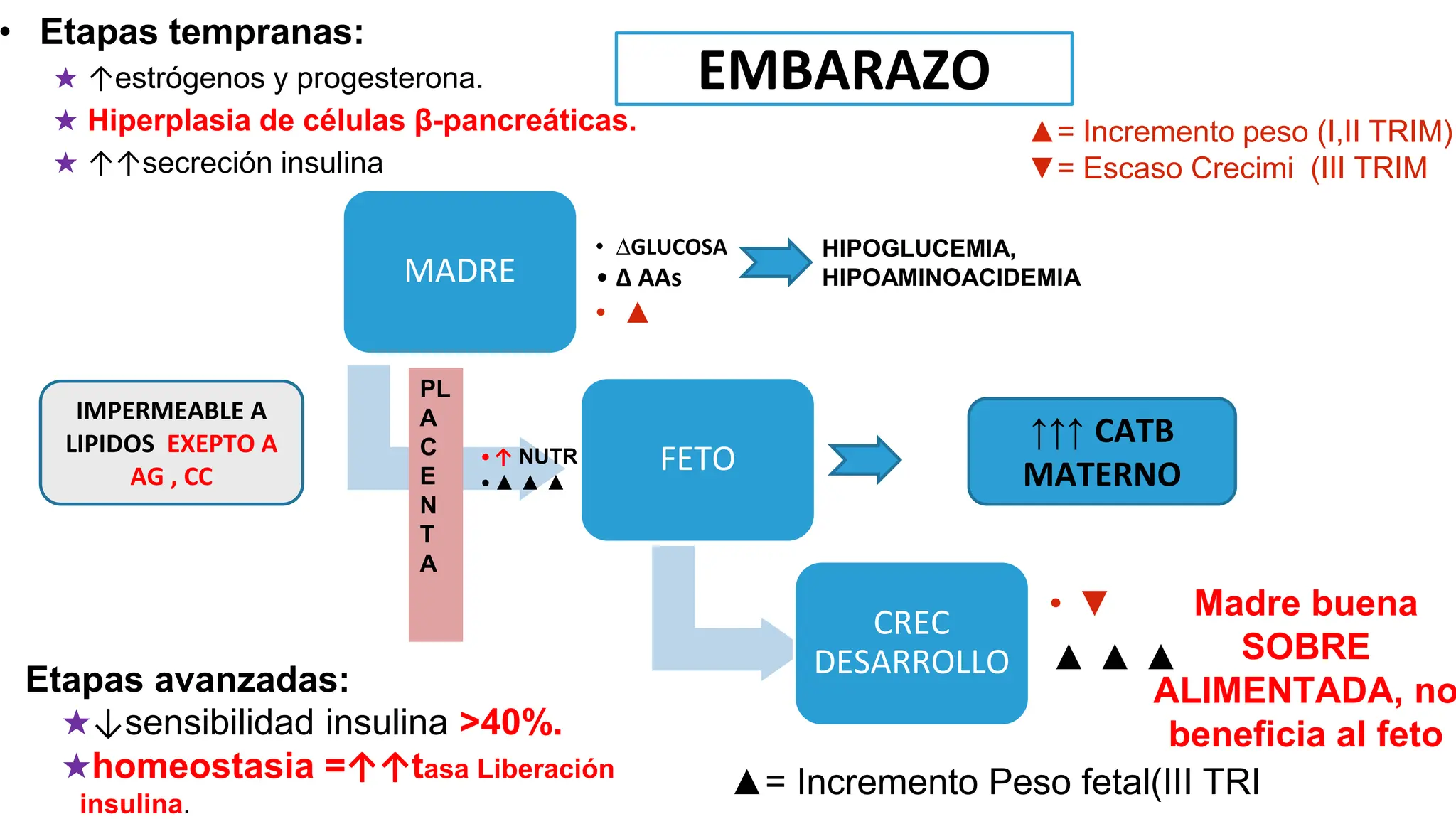 DIABETES GESTACIONAL, RESISTENCIA A LA INSULINA Y DIAGNOSTICO | PPTX