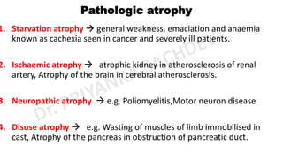 Dr. Priyanka Sachdev - General pathology.pdf