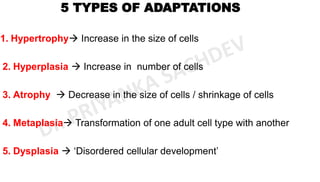 Dr. Priyanka Sachdev - General pathology.pdf