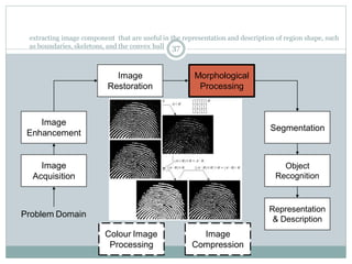 extracting image component that are useful in the representation and description of region shape, such
as boundaries, skeletons, and the convex hull
Image
Acquisition
Image
Restoration
Morphological
Processing
Segmentation
Representation
& Description
Image
Enhancement
Object
Recognition
Problem Domain
Colour Image
Processing
Image
Compression
37
 