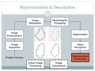 Image
Acquisition
Image
Restoration
Morphological
Processing
Segmentation
Representation
& Description
Image
Enhancement
Object
Recognition
Problem Domain
Colour Image
Processing
Image
Compression
Representation & Description
40
 