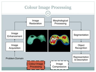 Image
Acquisition
Image
Restoration
Morphological
Processing
Segmentation
Representation
& Description
Image
Enhancement
Object
Recognition
Problem Domain
Colour Image
Processing
Image
Compression
Colour Image Processing
43
 