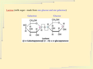 Lactose (milk sugar - made from one glucose and one galactose)
Galactose Glucose
 