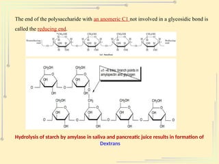 The end of the polysaccharide with an anomeric C1 not involved in a glycosidic bond is
called the reducing end.
Hydrolysis of starch by amylase in saliva and pancreatic juice results in formation of
Dextrans
 