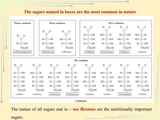 The sugars named in boxes are the most common in nature
The names of all sugars end in – ose Hexoses are the nutritionally important
sugars.
 