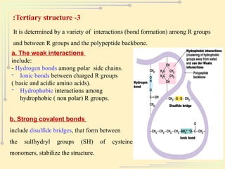 Amino acids, protenis and its -reactions | PPTX