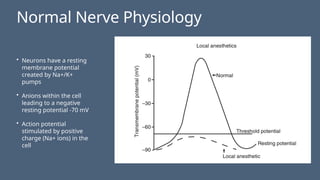 Normal Nerve Physiology
• Neurons have a resting
membrane potential
created by Na+/K+
pumps
• Anions within the cell
leading to a negative
resting potential -70 mV
• Action potential
stimulated by positive
charge (Na+ ions) in the
cell
 
