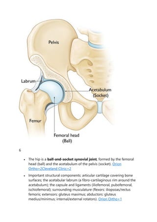 Hip Rim Dr.Pothireddy Surednranath Reddy explains on management of hip pain.pdf