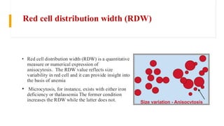 What Is Rdw normal hematopoiesis,blood cell morphology | PDF