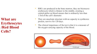 Bhc Normal normal hematopoiesis,blood cell morphology | PDF