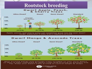 modern trends in fruit breeding and biofortification | PPTX