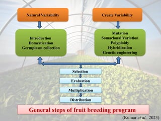 modern trends in fruit breeding and biofortification | PPTX