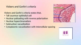Nuclear Vicker Ameloblastoma (1).pptx pathology and microscopic features | PPTX