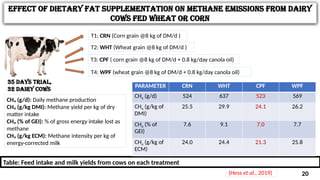 Impact of Dietary Lipid Sources on Rumen Metabolism and Milk Production ...
