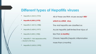 Comprehensive Overview of Hepatitis B Virus: History, Structure ...