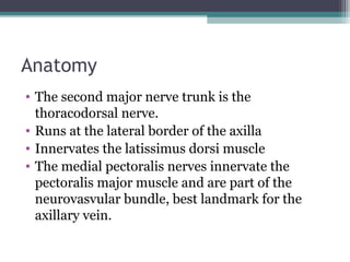 Anatomy
• The second major nerve trunk is the
  thoracodorsal nerve.
• Runs at the lateral border of the axilla
• Innervates the latissimus dorsi muscle
• The medial pectoralis nerves innervate the
  pectoralis major muscle and are part of the
  neurovasvular bundle, best landmark for the
  axillary vein.
 