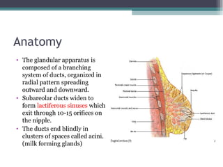 Anatomy
• The glandular apparatus is
  composed of a branching
  system of ducts, organized in
  radial pattern spreading
  outward and downward.
• Subareolar ducts widen to
  form lactiferous sinuses which
  exit through 10-15 orifices on
  the nipple.
• The ducts end blindly in
  clusters of spaces called acini.
  (milk forming glands)
 