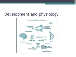 Development and physiology
 