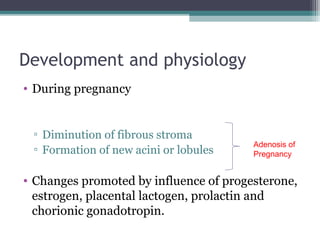 Development and physiology
• During pregnancy


 ▫ Diminution of fibrous stroma
                                        Adenosis of
 ▫ Formation of new acini or lobules    Pregnancy


• Changes promoted by influence of progesterone,
  estrogen, placental lactogen, prolactin and
  chorionic gonadotropin.
 