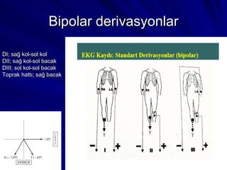 Bipolar derivasyonlar DI; sağ kol-sol kol DII; sağ kol-sol bacak DIII; sol kol-sol bacak Toprak hattı; sağ bacak 